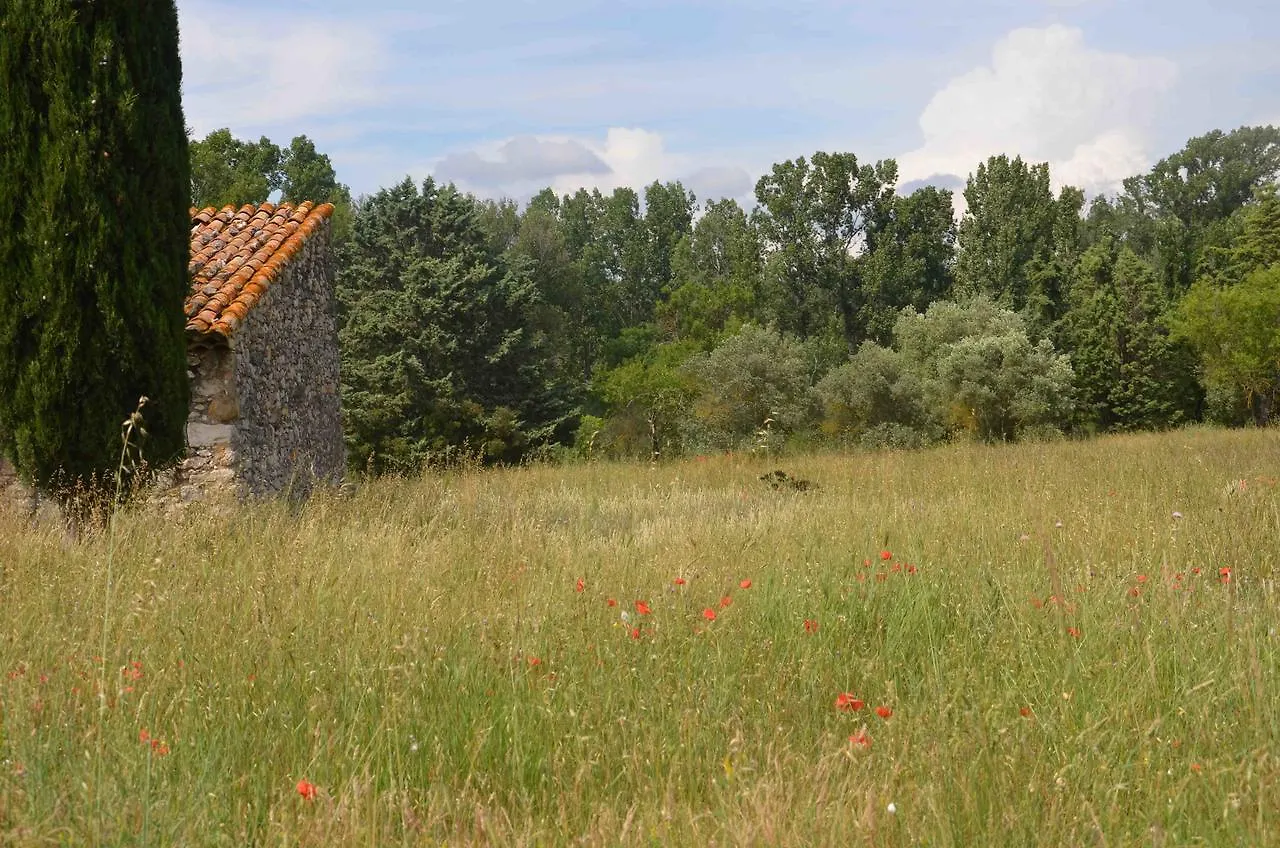 Domaine Shambala - Maison D'Hote En Provence - Piscine Chauffee Bed & Breakfast Velaux